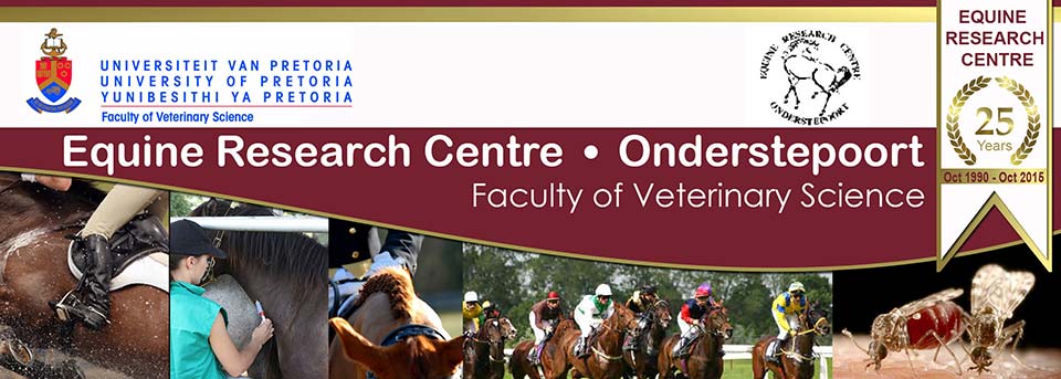 Equine Research Centre - Newsletter
