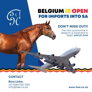 South Africa Reopens Horse Imports Following Groundbreaking Agreement with Belgium