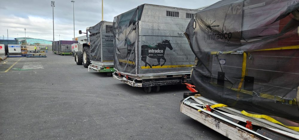 WhatsApp Image 2024-08-17 at 12.32.30_d9a84f44