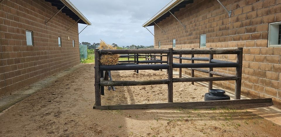 KENILWORTH QUARANTINE 1