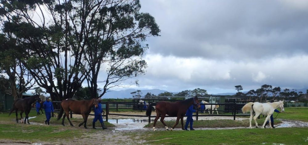 KENILWORTH QUARANTINE 3