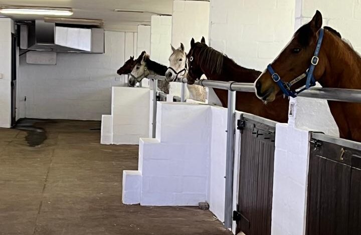 Montague Gardens Quarantine 8
